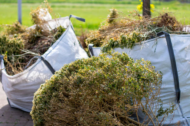  Sistersville, WV Junk Removal Pros